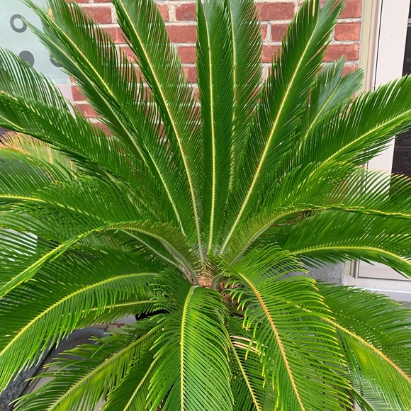 Meet your Posher, Marina - Picture 1 of 1